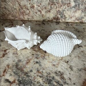 Beautiful Lenox shell salt and pepper shakers